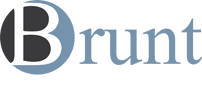 Auto, Home, Life Insurance and Financial Services | Brunt Insurance