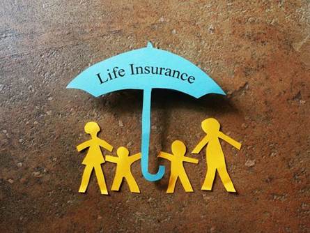 Life Insurance 