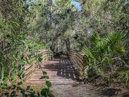 foot bridge in halpatiokee park florida